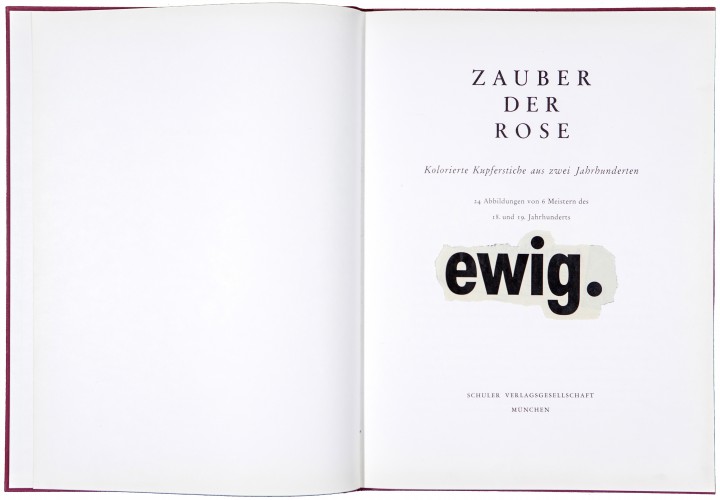 »ewig« oder der zauber der rose
40cm x 30,5cm
2015